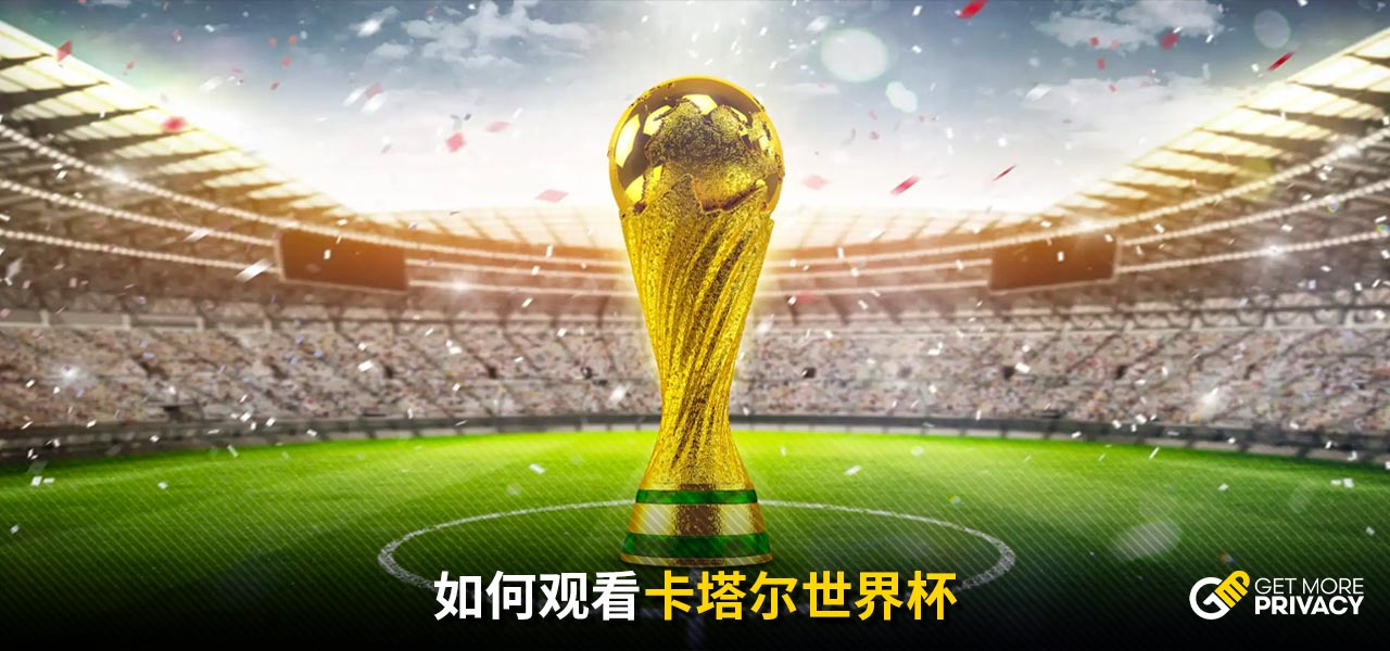 体上引发了